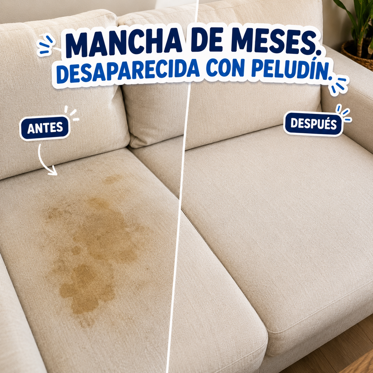 Peludín | Eliminador de Manchas y Olores