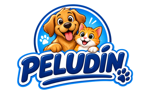 PELUDÍN